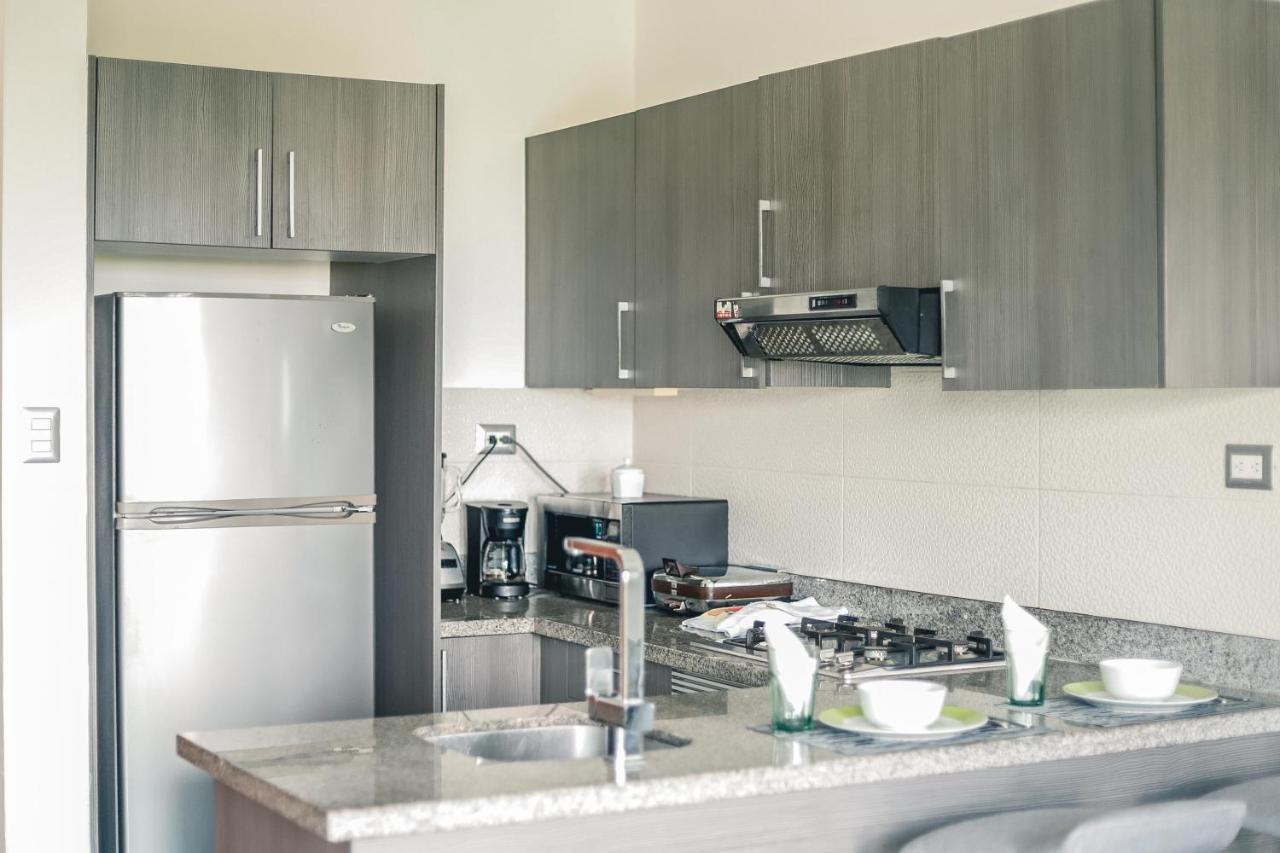 Armonia 408 Apartment In Gazcue سانتو دومينجو المظهر الخارجي الصورة